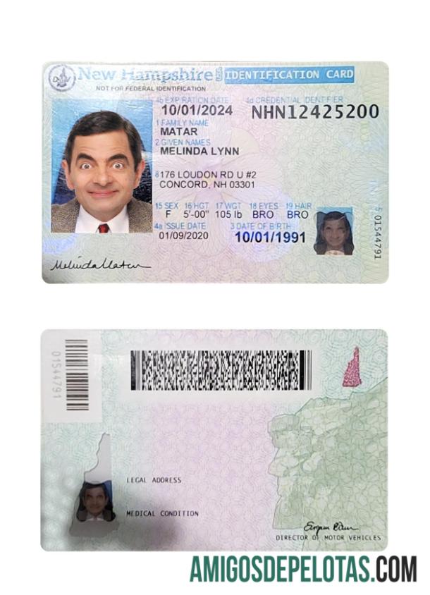 Amostra de cartão de identificação dos EUA New Hampshire
